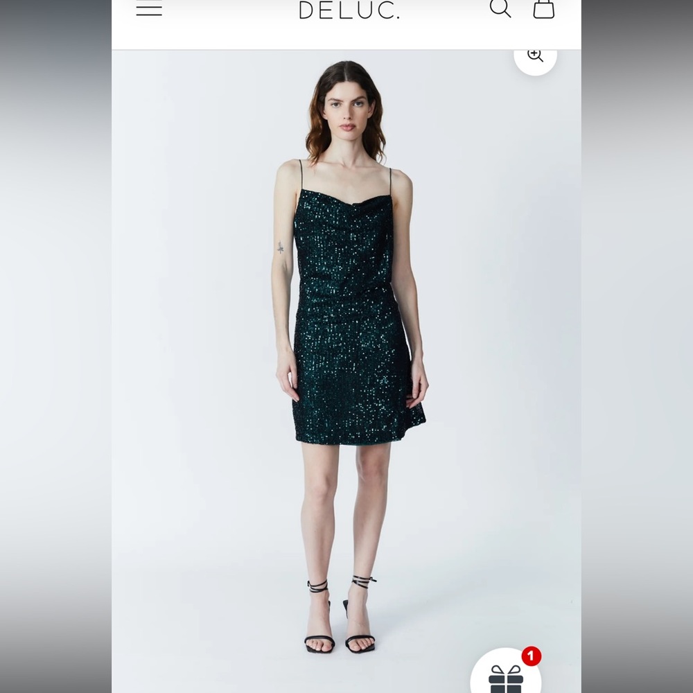 Stunning Dèluc sequence dress new with tags Size XS